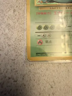 Pokemon Card TCG Venusaur No.003 Holo Rare Old Back Base Set 1996 Japanese - Image 5