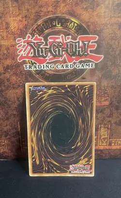 YuGiOh-Dark Paladin DMG-001 Secret Rare Limited Edition Holo MP - Image 5