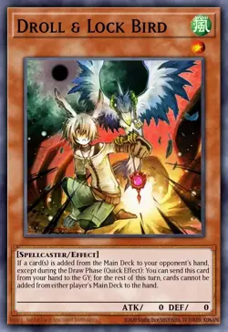 Droll & Lock Bird Yu-Gi-Oh! L5DD-ENC04 1st Common - Image 1