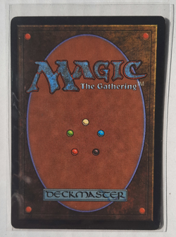 MTG Mirage| Forsaken Wastes | LP | Magic The Gathering - Image 2