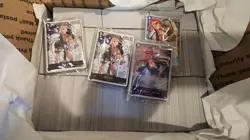 JP & EN - One Piece TCG Bulk Lot - 3000+ Cards! - Image 1