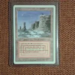 Magic: The Gathering Plateau Land Regular Revised Rare Drew Tucker - Image 1