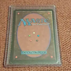 Magic: The Gathering Plateau Land Regular Revised Rare Drew Tucker - Image 2