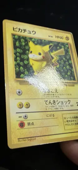 Ivy Pikachu Glossy Japanese CoroCoro Promo No 025 Pokemon Ken Sugimori Played - Image 3