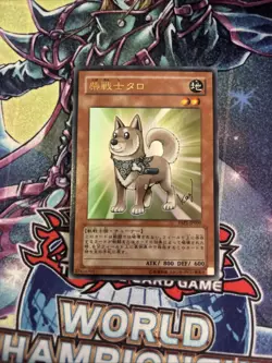 (Ey) YuGiOh TCG Shiba-Warrior Taro YAP1-JP009 Ultra Rare Holo JAPANESE VLP - Image 1