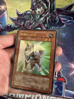 (Ey) YuGiOh TCG Shiba-Warrior Taro YAP1-JP009 Ultra Rare Holo JAPANESE VLP - Image 2