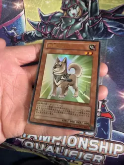 (Ey) YuGiOh TCG Shiba-Warrior Taro YAP1-JP009 Ultra Rare Holo JAPANESE VLP - Image 4