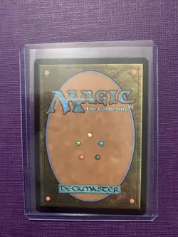 Splinter of the Shadows - Ashcoat of the Shadow Swarm (Borderless Regular - Image 2