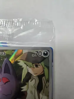 N's Zorua SVP 189 Scarlet & Violet Promo Pokemon Pokemon Center - Image 4