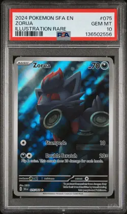 2024 POKEMON SFA EN-SHROUDED FABLE ILLUSTRATION RARE #075 ZORUA PSA 10 - Image 1