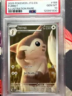 Furret PSA 10 Pokemon Journey Together Illustration Rare 168/159 - Image 1