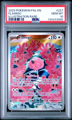 2023 Pokemon Pal En-Paldea Evolved #227 Flamigo Illustration Rare PSA 10 - Image 1