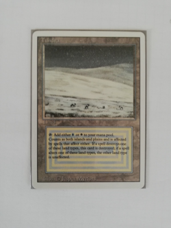 ►Magic-Style◄ MTG - Tundra - Revised - Image 1