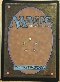 LIMITED EDITION Secret Lair MtG Narset, Enlightened Master NM BORDERLESS FOIL! - Image 2