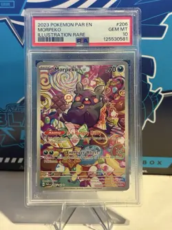 Pokemon TCG Morpeko Paradox Rift 206/182 Holo Illustration Rare Card PSA 10 GM - Image 1