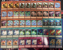 YUGIOH - WATER DRAGON DECK - LIGHT, DUOTERION, HYDROGEDDON, DINOSAUR, H2O, D2O - Image 1