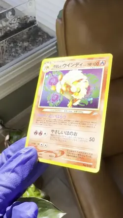 Pokemon TCG Light Arcanine Holo Card #59 Neo Destiny Japanese NM/LP - Image 2