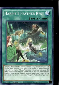 Yu-Gi-Oh Harpies Feather Rest LDS2-EN086 1st Edition Non Holo - Image 1