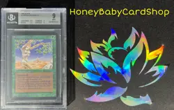 MTG Limited Edition Alpha 1993 Shanodin Dryads BGS 9.0 MINT Old School 93/94 - Image 4