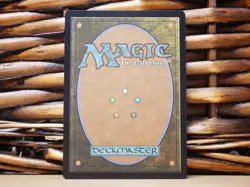 MTG Raph & Leo, Sibling Rivals 0249 FOIL BORDERLESS | NM Near Mint | TMNT | 2026 - Image 2