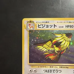 Pokemon Vintage Holo Pidgeot Pokemon Jungle (Japanese) 1997 - Image 2
