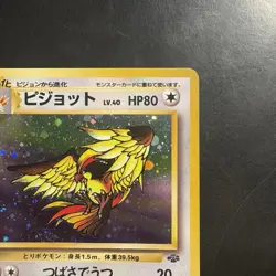 Pokemon Vintage Holo Pidgeot Pokemon Jungle (Japanese) 1997 - Image 3