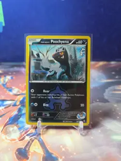 Pokemon TCG Double Crisis 16/34 Team Aqua's Poochyena Reverse Holo Common MP-HP - Image 1