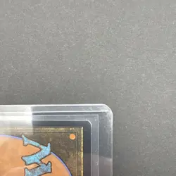 Magic: The Gathering Don't Move Rare White Sorcery Rex Jurassic R 0001 Inkognit - Image 3