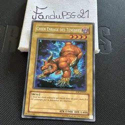 Carte Yu-Gi-Oh! IOC-FR057 Chien Enrage des Tenebres (Rare) 1996 - Image 1