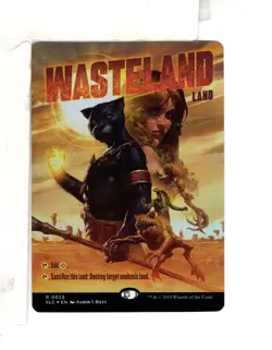 MTG SkeenAB Wasteland BORDERLESS FOIL from SLC. NM. - Image 1