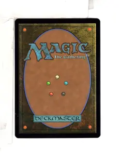 MTG SkeenAB Wasteland BORDERLESS FOIL from SLC. NM. - Image 2