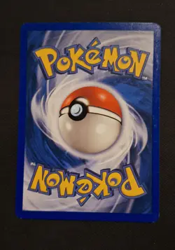 Charmander 113/112 EX Fire Red & Leaf Green Holo Secret Rare Pokemon Card - Image 3