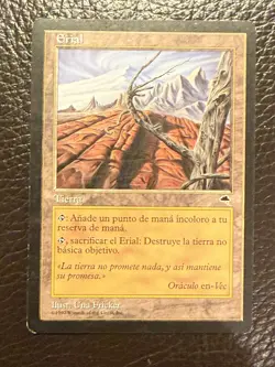 MTG Tempest — Wasteland — Spanish EX+ - Image 1