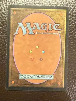 MTG Tempest — Wasteland — Spanish EX+ - Image 2