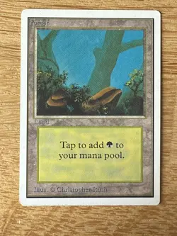 MTG— Unlimited — 5 Lands — EX+ - Image 2