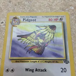 Pidgeot 24/64 Jungle Set LP Non-Holo WOTC 1999 Pokemon Card Unlimited - Image 2