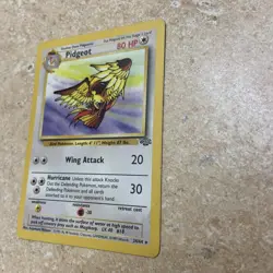Pidgeot 24/64 Jungle Set LP Non-Holo WOTC 1999 Pokemon Card Unlimited - Image 5