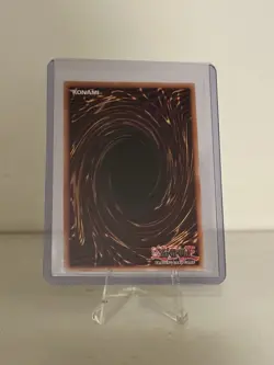 *** TIMAEUS THE UNITED DRAGON *** 1ST EDITION PRISMATIC RARE MP23-EN003 YUGIOH! - Image 2