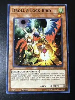 *** DROLL & LOCK BIRD *** SR08-EN021 1ST EDITION LP YUGIOH! - Image 1