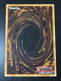 *** DROLL & LOCK BIRD *** SR08-EN021 1ST EDITION LP YUGIOH! - Image 2