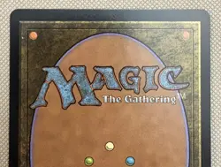 Magic the Gathering MTG Final Fantasy Firion Swordmaster Art Through the Ages 3 - Image 5