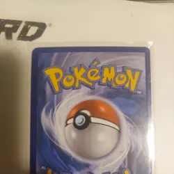 Pokemon Pikachu (XY95 Black Star Promo Holo Rare)-Let’s Eat Together 2016- Lp/Mp - Image 4