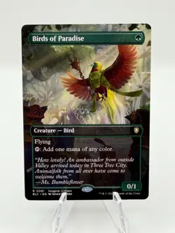 BIRDS OF PARADISE (BORDERLESS) BLOOMBURROW MTG MAGIC THE GATHERING NEAR MINT - Image 1