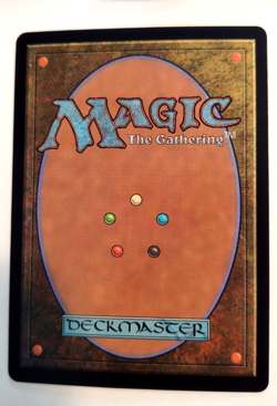 Herd Heirloom (Borderless) - Tarkir: Dragonstorm (TDM) - EN - R 0347 - Image 2