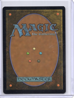 Island 271/277 VOW Foil Basic Land MTG LP - Image 2