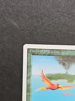Mtg 🔥🔥 Birds of Paradise 🔥🔥 Revised Edition MT/NM 🌟 Vintage RARE 🌟 - Image 3