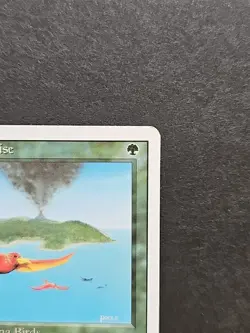 Mtg 🔥🔥 Birds of Paradise 🔥🔥 Revised Edition MT/NM 🌟 Vintage RARE 🌟 - Image 4