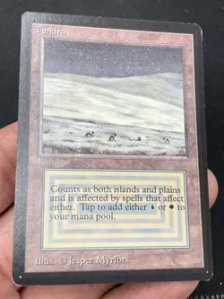 ***Beta Tundra*** MTG Beta Magic Kid Icarus - Image 3