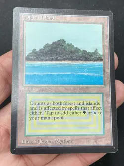 ***Beta Tropical Island*** MTG Beta Magic Kid Icarus - Image 3