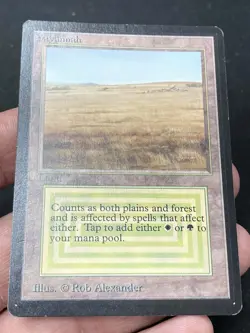 ***Beta Savannah (Indent)*** MTG Beta Magic Kid Icarus - Image 3